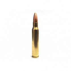 5.56x45 45 Grain Solid Copper Match. 1000 Round in Bulk Pack