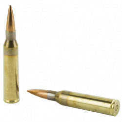 Barnes Precision Match Boat Tail 338 Lapua 300 Grain 20/200