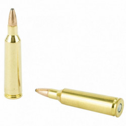 Fed PowerShok 22-250rem 55 Grain Solid Point 20/200