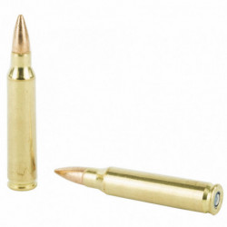 Fed American Eagle 223 Remington 62 Grain Full Metal Jacket 20/500