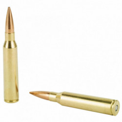 Fed Gold Models 338 Lapua 250 Grain Bthp 20,