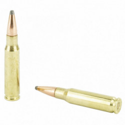 Hornady American Whitetail 308Win 165Gr InterLock 20/200