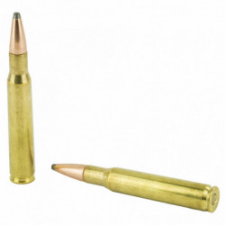 Hornady American Whitetail 30-06 180 Grain Integrated 20/200