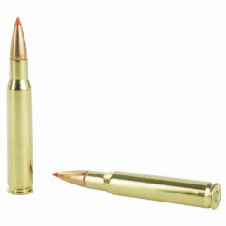 Hornady Superformance 30-06 Springfield 180Gr SST 20/200