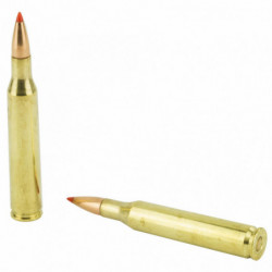 Hornady Superformance 25-06 Rem 117Gr SST 20/200