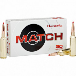 Hornady 300Win 195gr Eld 20/200