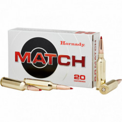 Hornady 300Win 195gr Eld 20/200