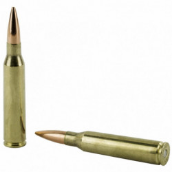 Hornady Match 338Lapua 250Gr Boat Tail Hollow Point 20/120