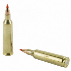 Hornady SF 22-250 50 Grain V-Max 20/200