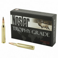 Nosler 25-06 100 Grain Point 20/200