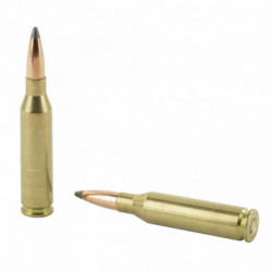 Nosler 260rem 125 Grain Point 20/200