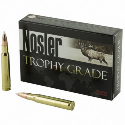 Nosler 30-06 165 Grain AccuBond 20/200