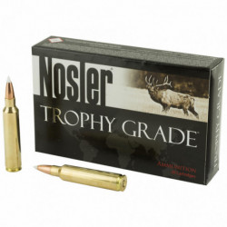 Nosler 30nos 180 Grain AccuBond 20/200