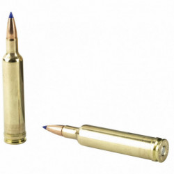 Weatherby Ammunition 257WBY 80 Grain Tipped Triple Shock X 20/200