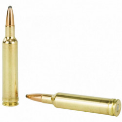 Weatherby Ammunition 270WBY 130 Grain Spitzer 20/200