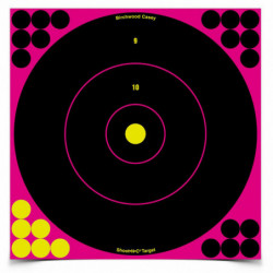 Birchwood Casey Shoot-N-C Round Bullseye Target 5-12" P