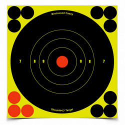 Birchwood Casey Shoot-N-C Round Bullseye Target 60-6"