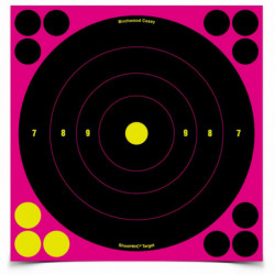 Birchwood Casey Shoot-N-C Bullseye Target Pink 6-8"