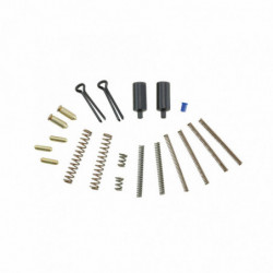 Bushmaster Lost Parts Kit(spring/pin
