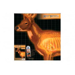 Champion Deer X-ray Target 6/Pk