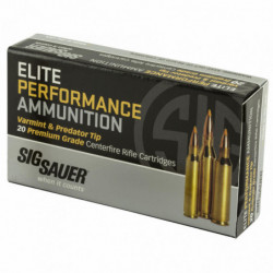 SIG AMMO 223REM 40GR V&P 20/200