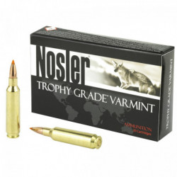 NOSLER 22NOS 55GR BT 20/200