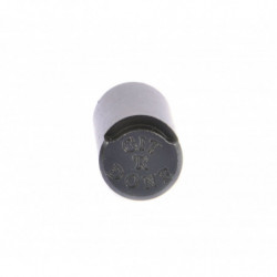 EGW Monogrammed Spring Plug Blued Logo