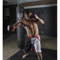 Title MMA Command Training Gloves