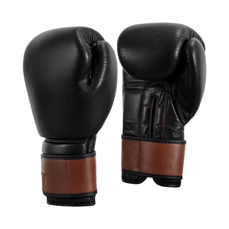 Title Boxing Honorary Training Gloves