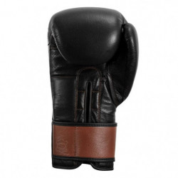 Title Boxing Honorary Training Gloves