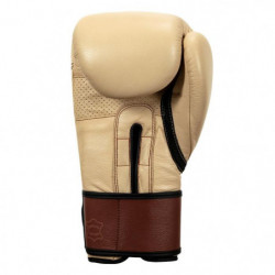 Title Boxing Honorary Training Gloves