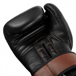 Title Boxing Honorary Training Gloves