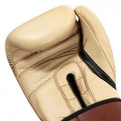 Title Boxing Honorary Training Gloves