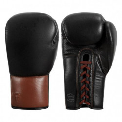 Title Boxing Honorary Sparring Gloves