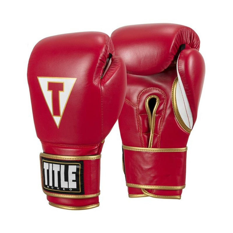 Title Boxeo Mexican Leather Training Gloves Quatro