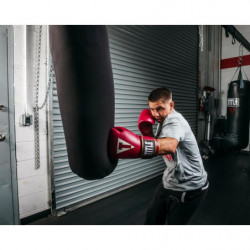 Title Boxeo Mexican Leather Training Gloves Quatro