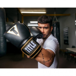 Title Boxeo Mexican Leather Training Gloves Quatro