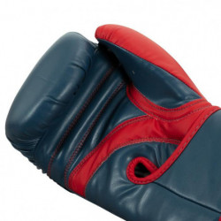 Title Inspire Boxing Gloves