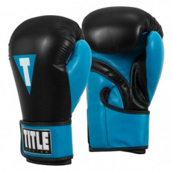 Title Inspire Boxing Gloves