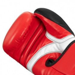 Title Inspire Boxing Gloves