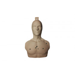 Birchwood Casey 3D Torso Target 3/Pack