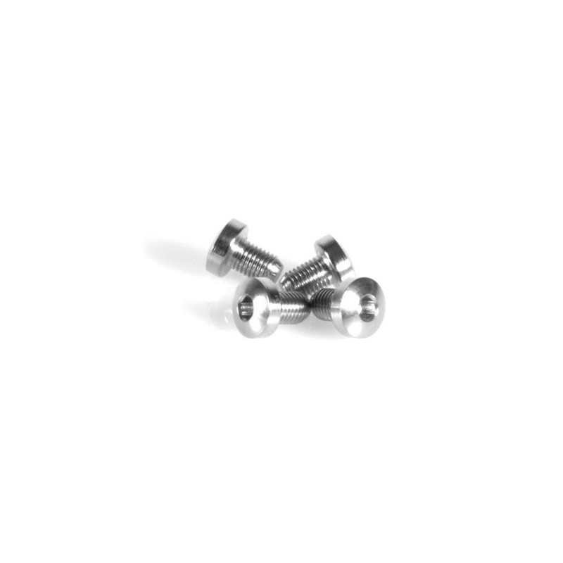 EGW Grip Screws Hex SS (Pkg of 4)