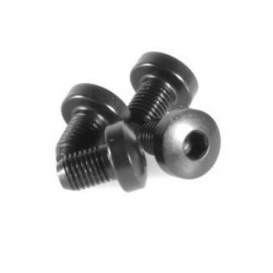 EGW Grip Screws Hex Blue (Pkg of 4)