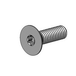 Outerimpact M3 0.5x10MM Torx Plus Flat Head Screw