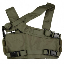 Haley Strategic Partners D3CR Heavy Chest Rig