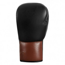 Title Boxing Honorary Sparring Gloves