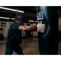 Title Boxing Honorary Sparring Gloves