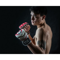 Title MMA Command Pro Fight Gloves