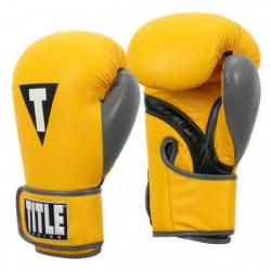 Title Inspire Boxing Gloves