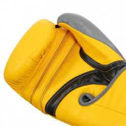 Title Inspire Boxing Gloves